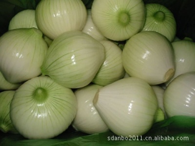 渤海農(nóng)產(chǎn)品 專(zhuān)業(yè)供應(yīng)新鮮美味營(yíng)養(yǎng)黃皮洋蔥